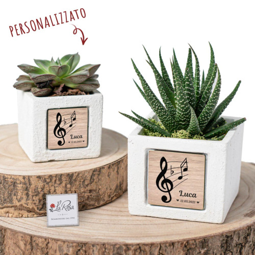 Bomboniere Tema Musica Vaso per Piantina Grassa Personalizzato