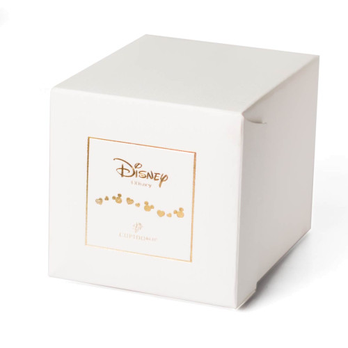 ⚡ OFFERTA LAMPO Bomboniere Linea Disney Believe in Magic utili